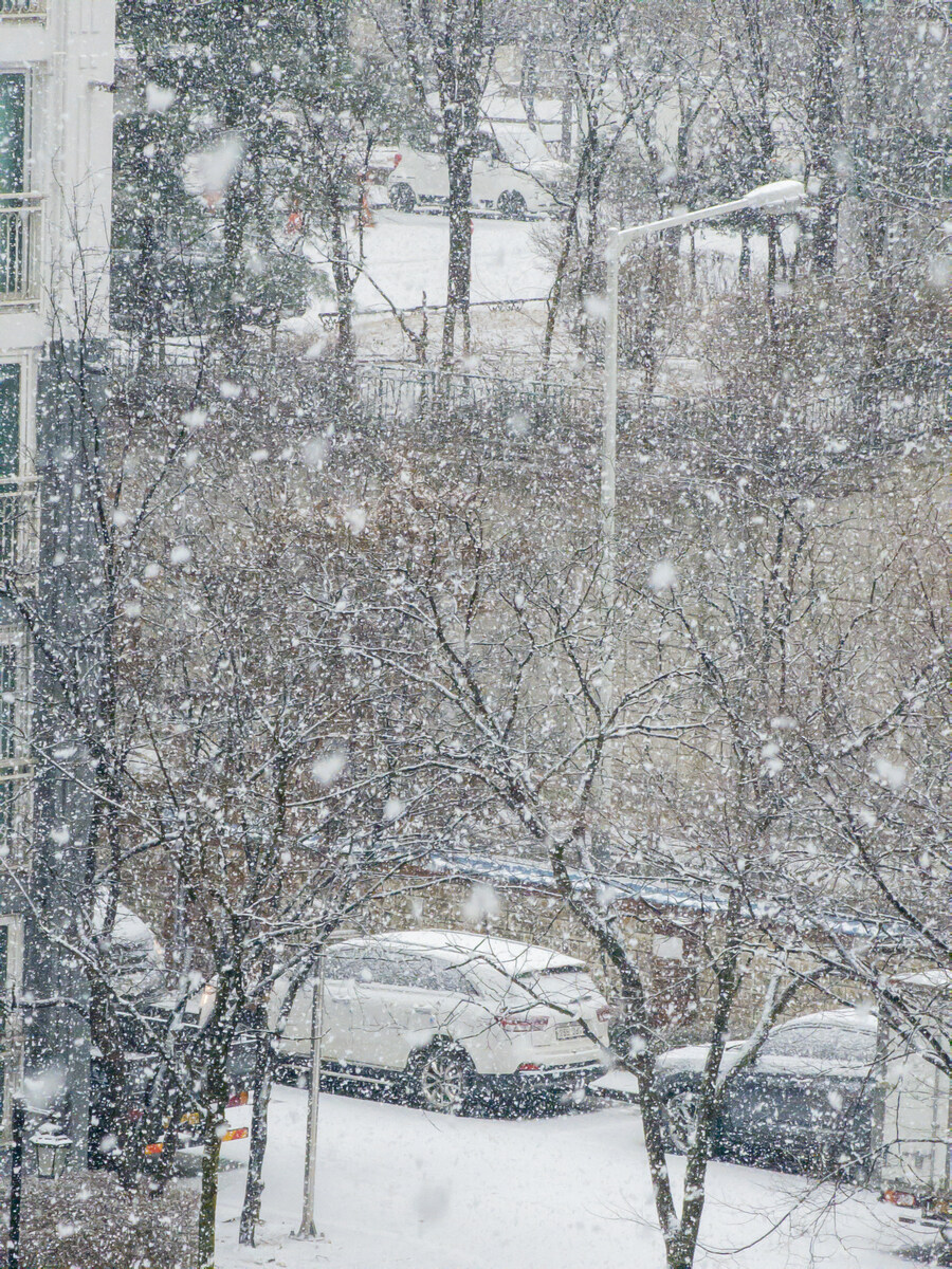 유게사진전 (2023년, 사계절)_7.jpg