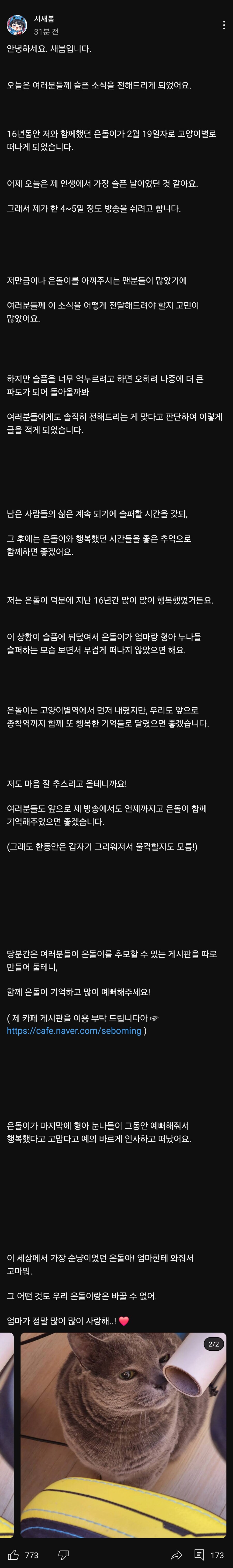 인방) 새봄추네 고양이 은돌이가 고양이별로 돌아감_1.jpg