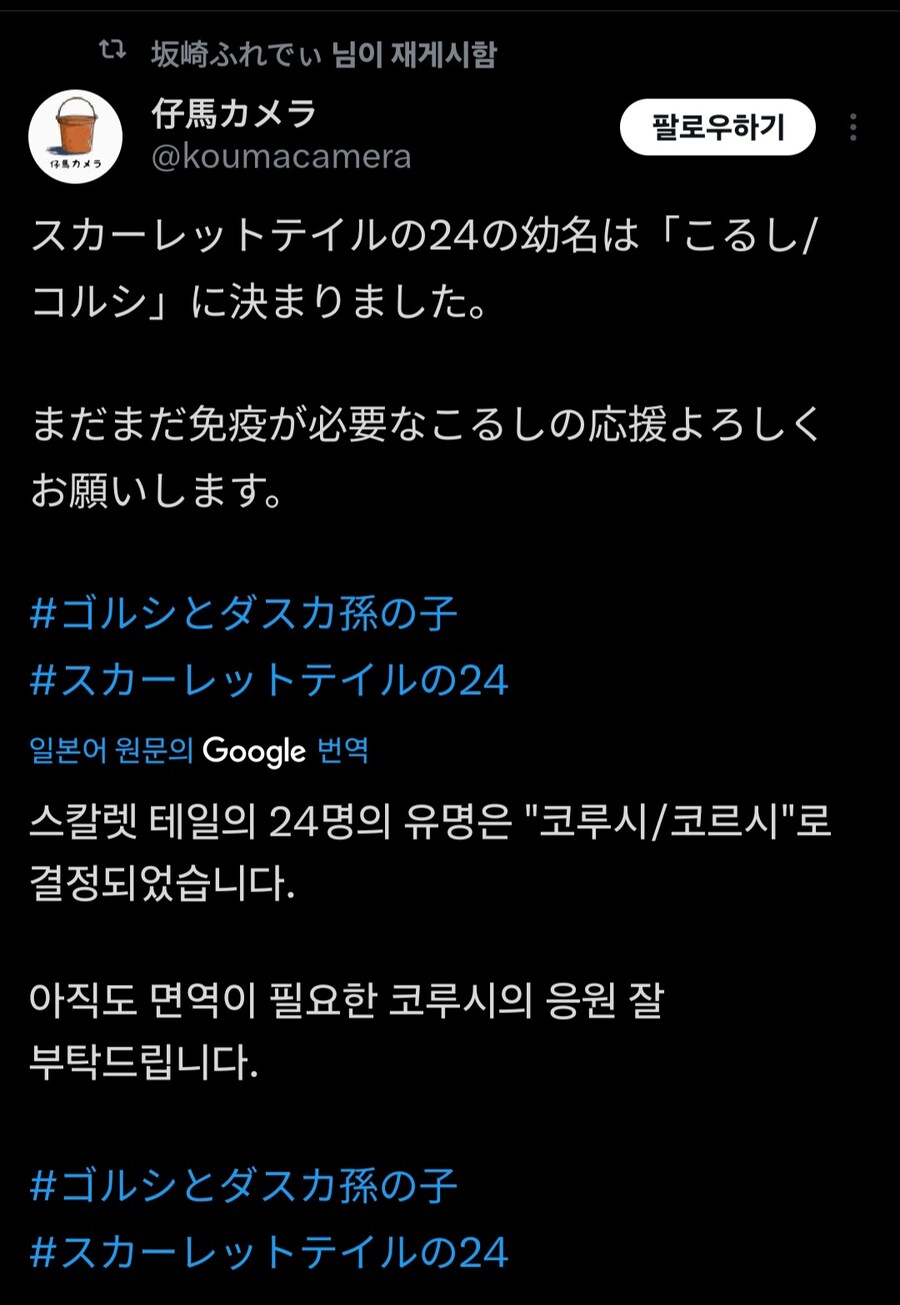 말)스칼렛 테일 2024의 산구 애칭_1.jpg