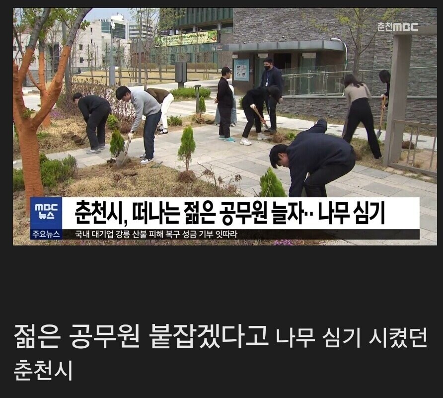 젊은공무원 퇴직 막겠다던 춘천 근황.jpg_2.jpg