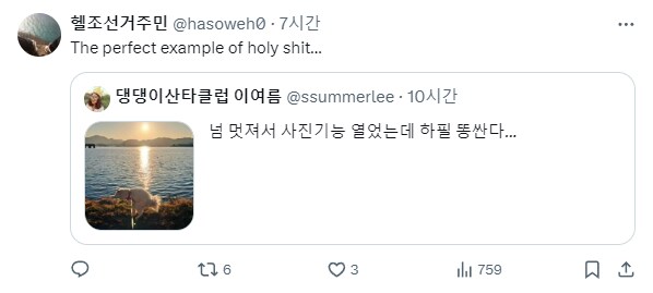 댕댕이와 산책하다가 석양이 멋져서 사진 찍음.jpg_3.png