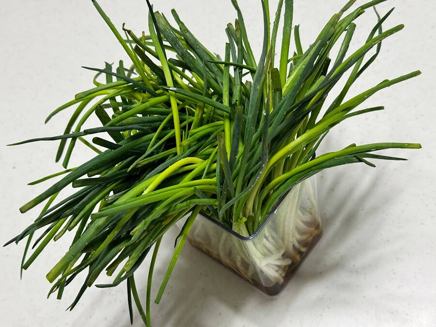 짜파게티는 파김치로 완성_8.jpg