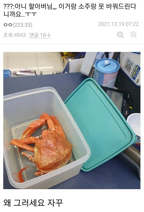 디시에서 가장 평화로운 갤러리_10.png