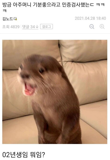 디시에서 가장 평화로운 갤러리_17.png