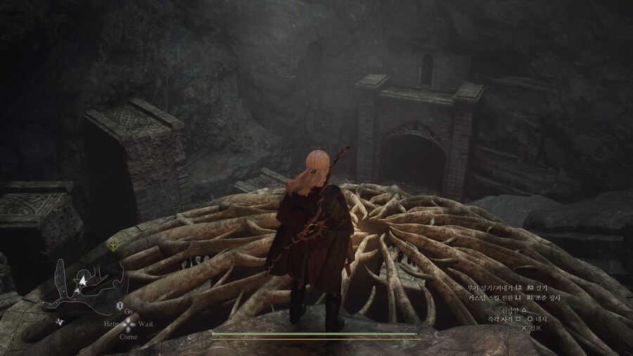 기령석 어디서 얻는지 아시는분 ㅠ_2.jpg