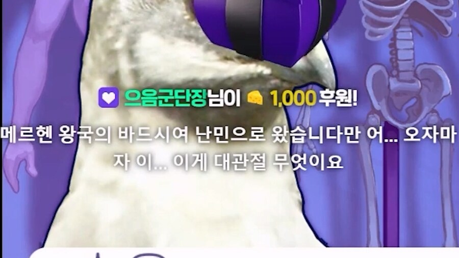 근튜버) 미치르님과 감군장님 방송 온도 차이에 당황하는 국민단_14.jpg