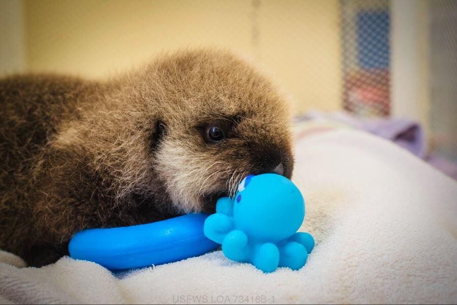 얘들아. 나 베스트 보내주면 안될까....?.jpg_10.jpg