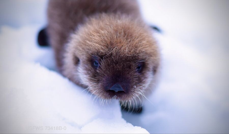 얘들아. 나 베스트 보내주면 안될까....?.jpg_11.jpg