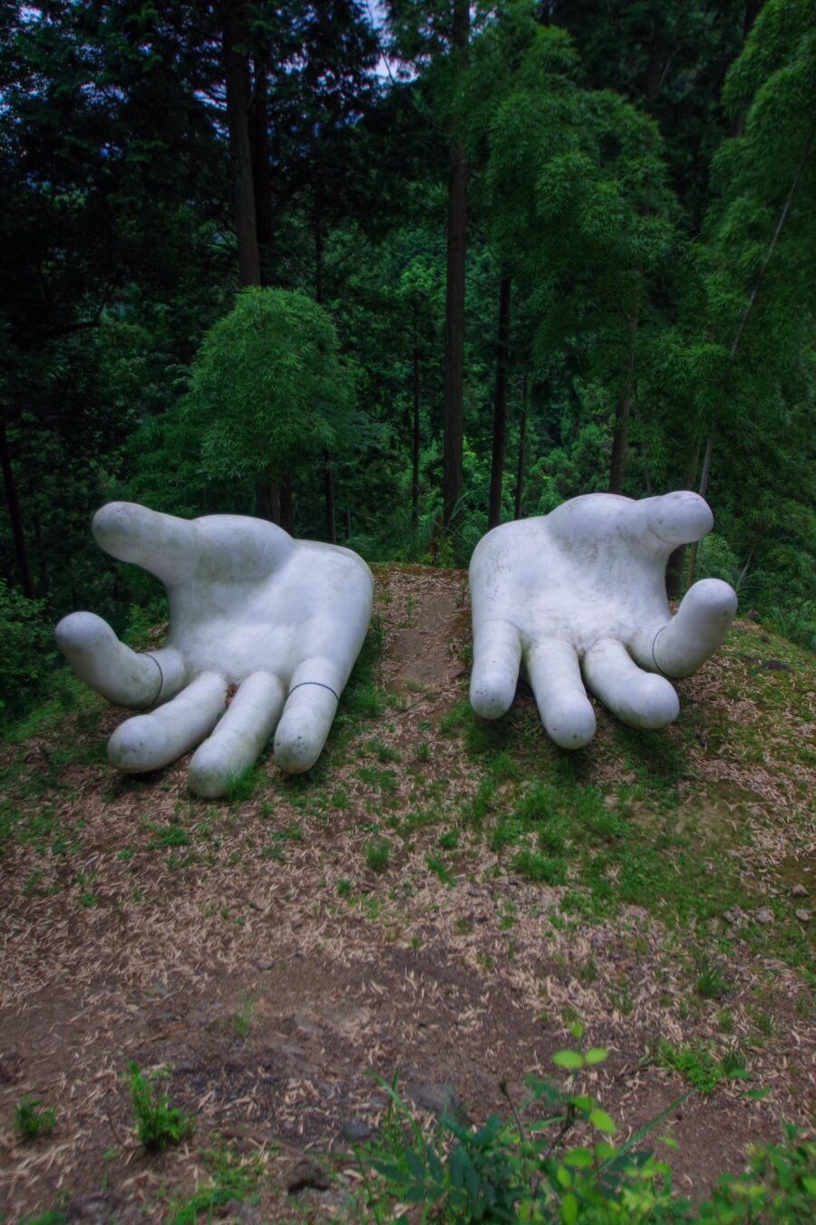 일본 사이타마, 숲 속에 버려진 손 한쌍🤲_3.jpg
