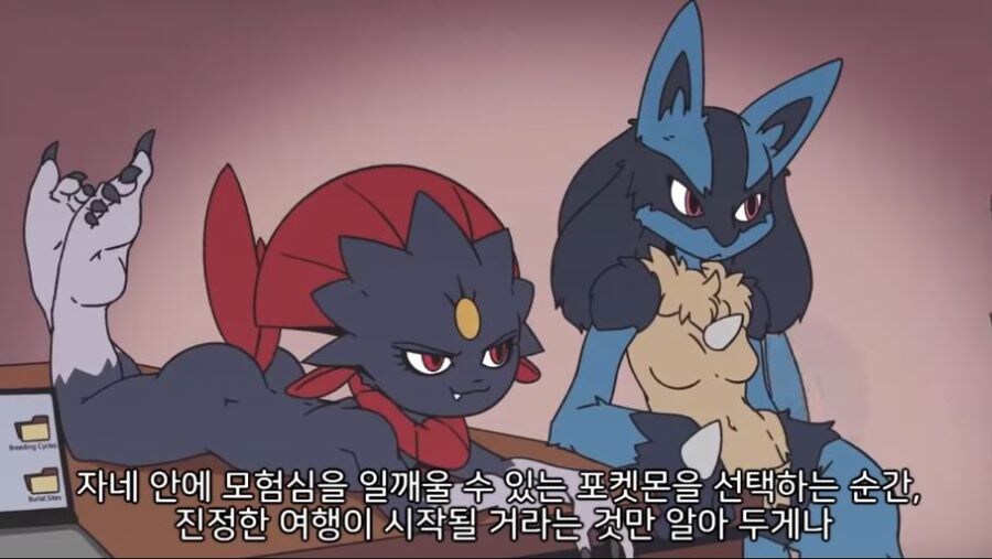 식스테일이랑 여행을 떠나는 포켓몬 트레이너_14.jpg