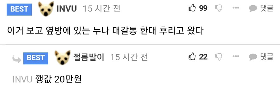 어질어질&nbsp;친누나랑 아다 뗐다는 사람.jpg_13.png