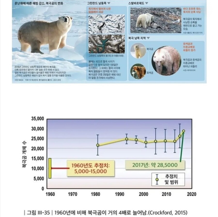 북극곰 근황.jpg_1.png