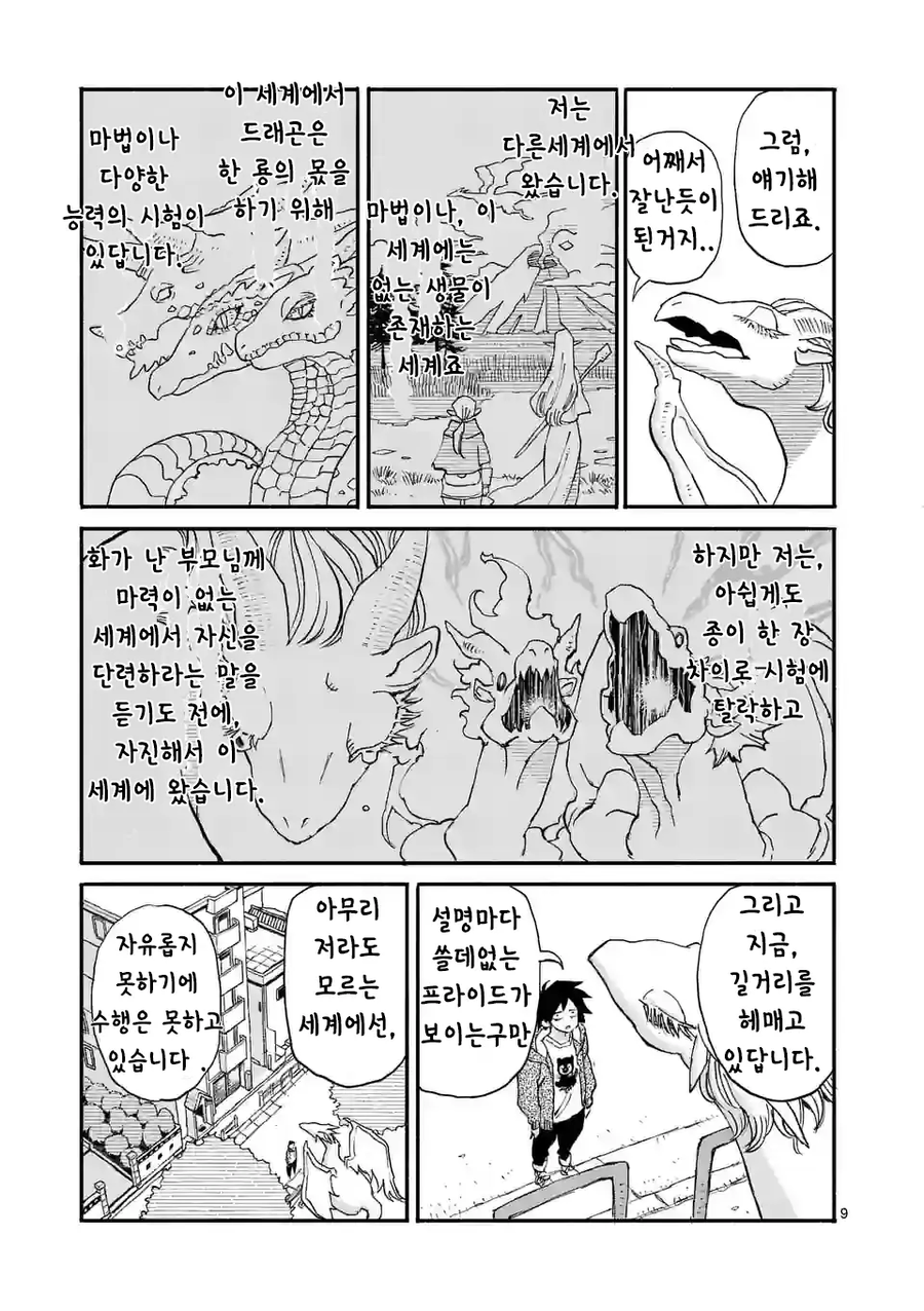 드래곤 줍는 만화_9.webp
