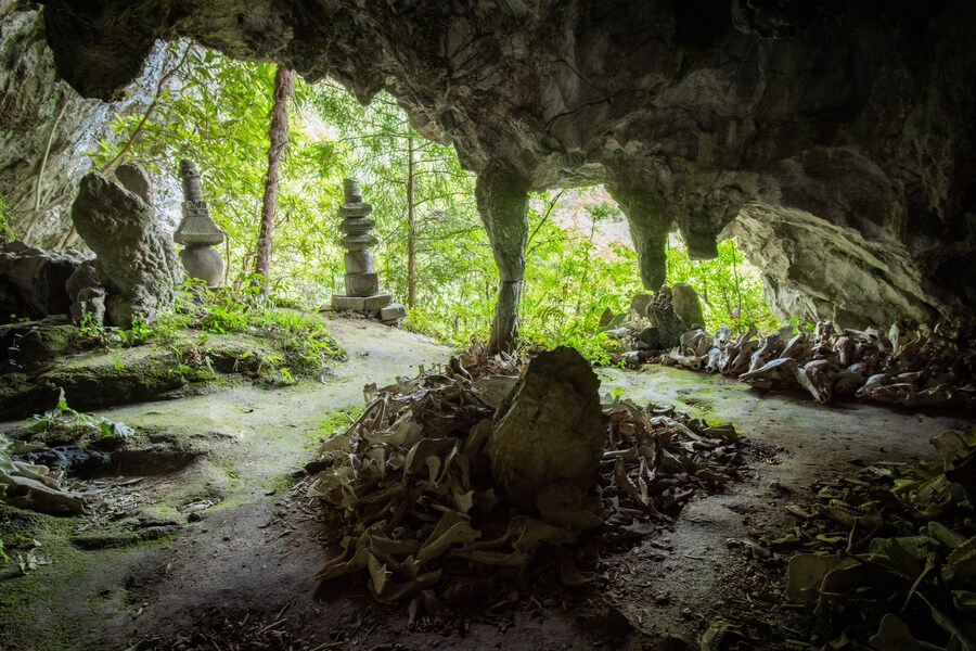 일본 시골의 버려진 한 신사의 모습. jpg_11.jpg