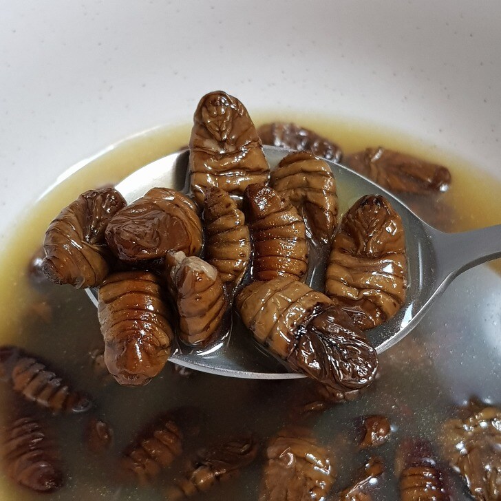 의외로 어른된 다음 못먹게 되는 사람들이 있는 음식.JPG_2.jpg