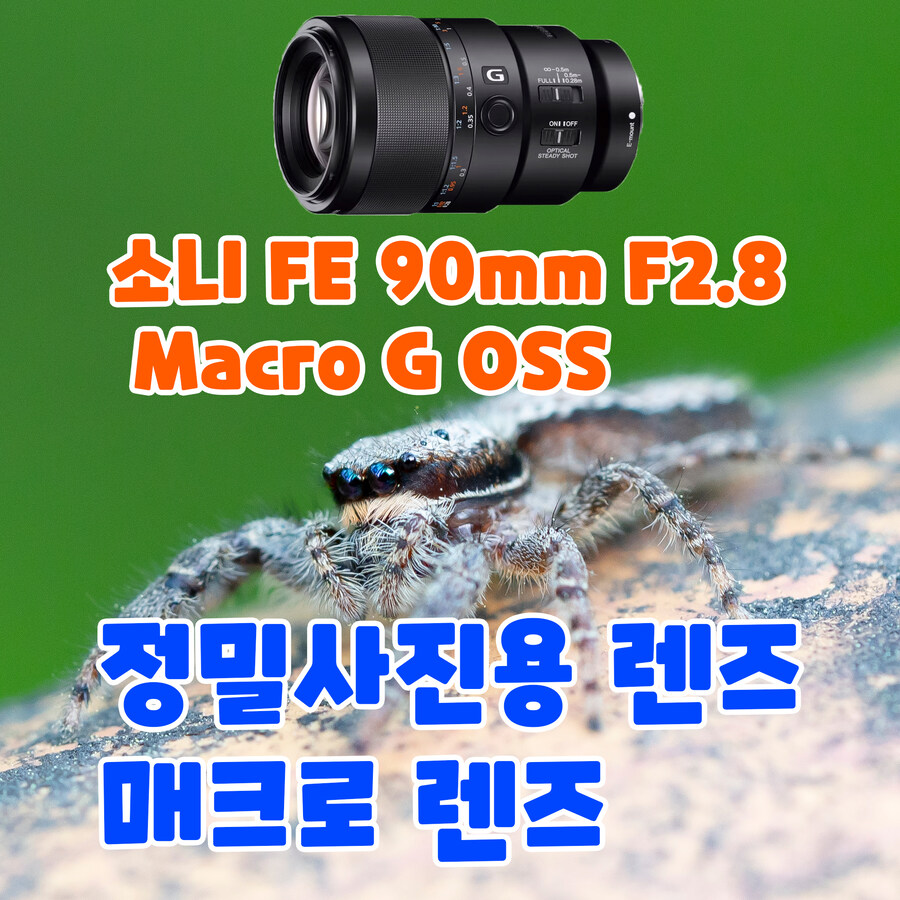소니 90mm 매크로 렌즈의 정밀사진과 영상_1.jpg