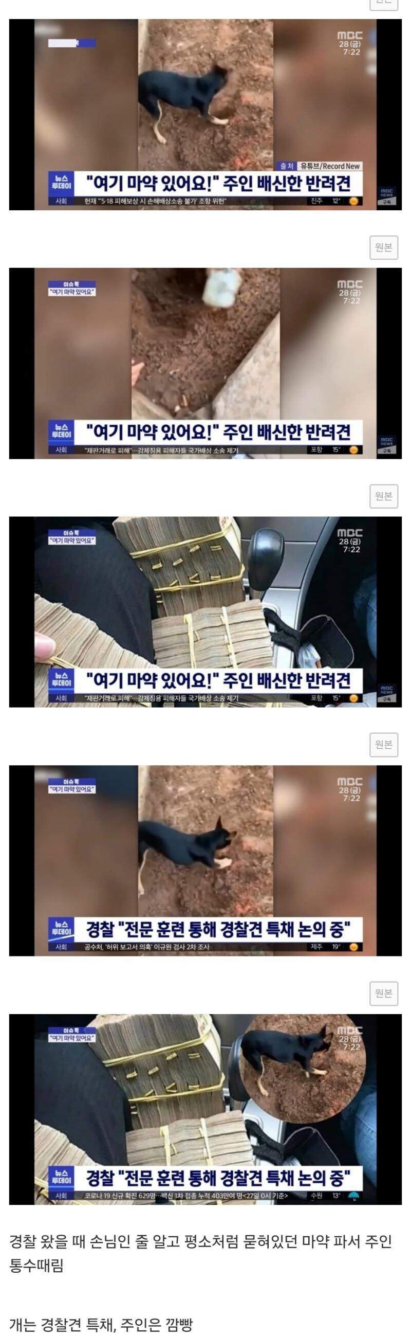 주인 팔아서 취직했다_1.jpg