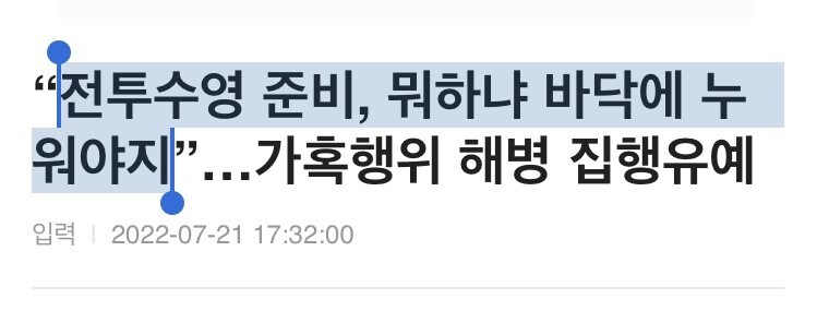 해병대의 원피스 캐릭터들_13.jpg