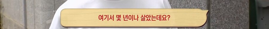 내가 이 아파트에서 12년을 살았는데 라쿤을 처음봤다니까?_4.jpg
