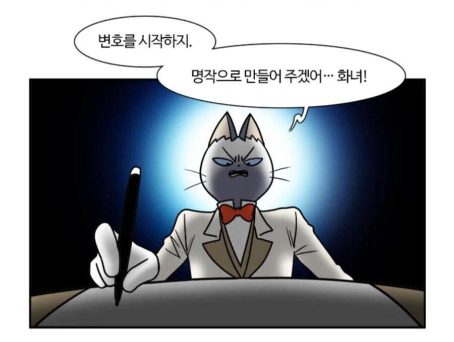 부기영화망조의 고양이