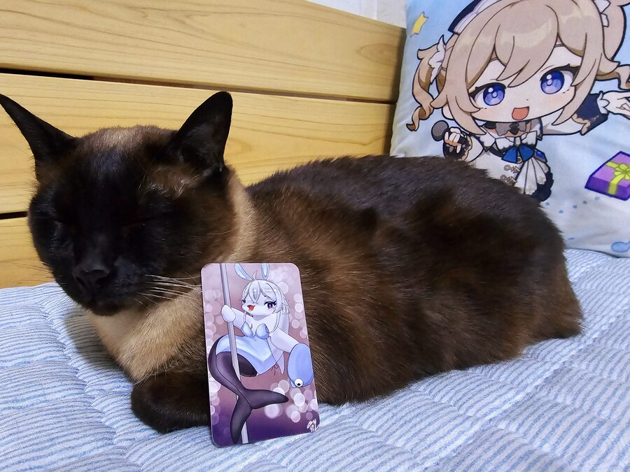 [일러스타페스] 제 4회 일러스타페스 양일 후기!_26.jpg