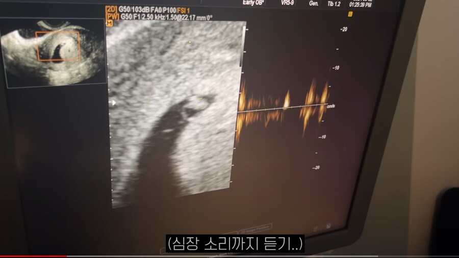 네루짱 근황_2.png