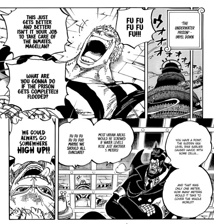 원피스스포)도황 근황_2.jpg