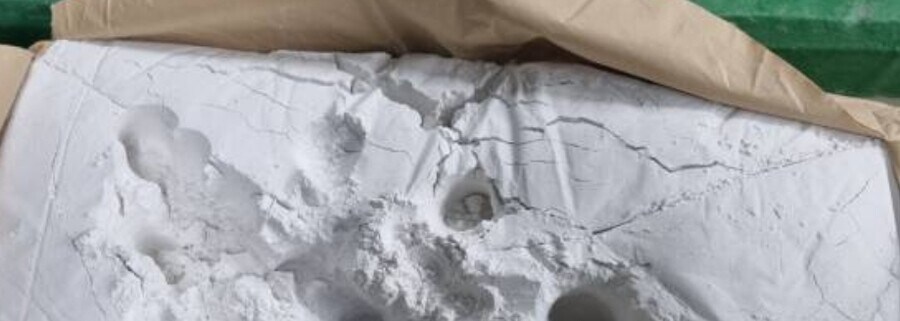 수영장이나 워터파크는 사람많아서 더러워서 안감_5.jpg