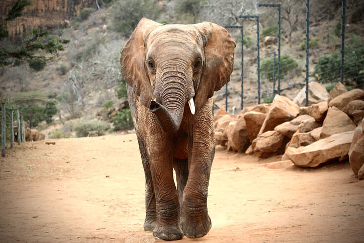 아프지마 도토 도토 잠보 근황_2.jpg