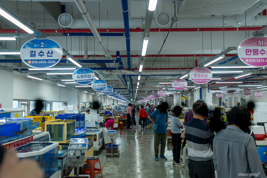 1박2일 선유도 다녀왔습니다_10.jpg