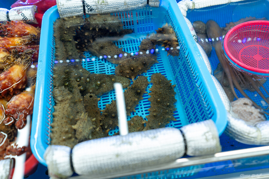 1박2일 선유도 다녀왔습니다_13.jpg