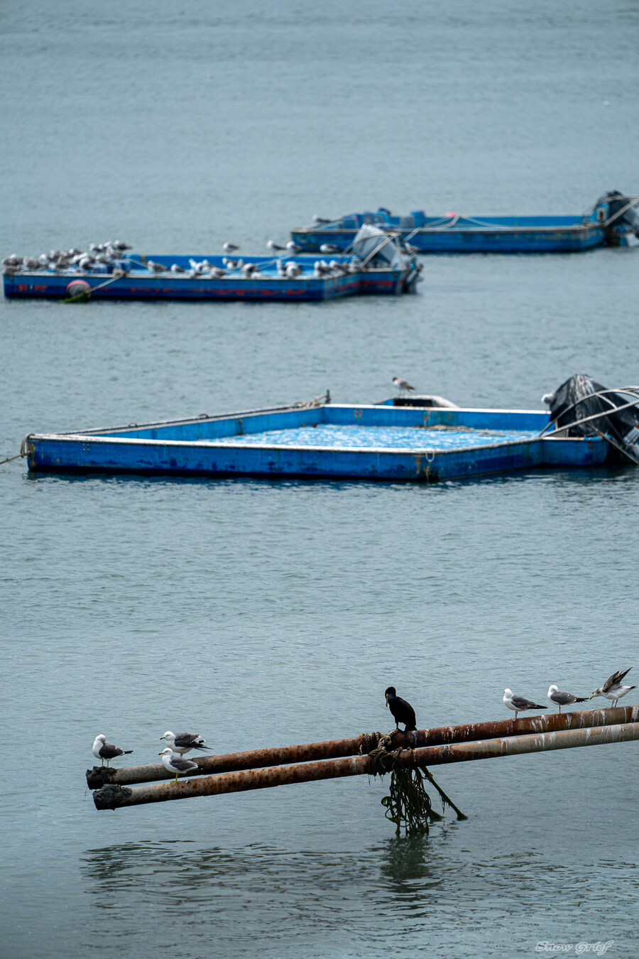 1박2일 선유도 다녀왔습니다_35.jpg