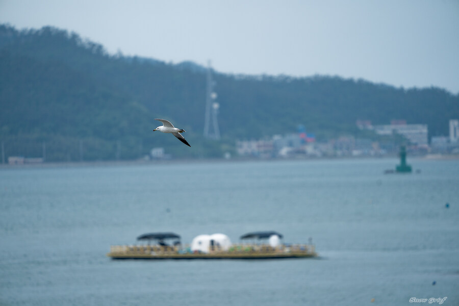 1박2일 선유도 다녀왔습니다_40.jpg