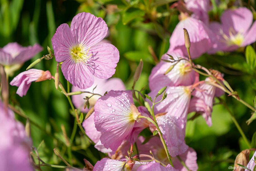 1박2일 선유도 다녀왔습니다_94.jpg