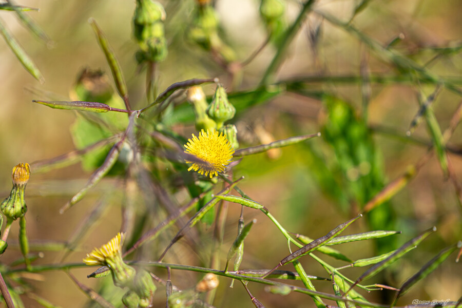 1박2일 선유도 다녀왔습니다_95.jpg