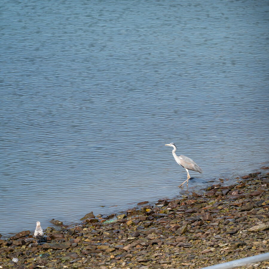 1박2일 선유도 다녀왔습니다_111.jpg
