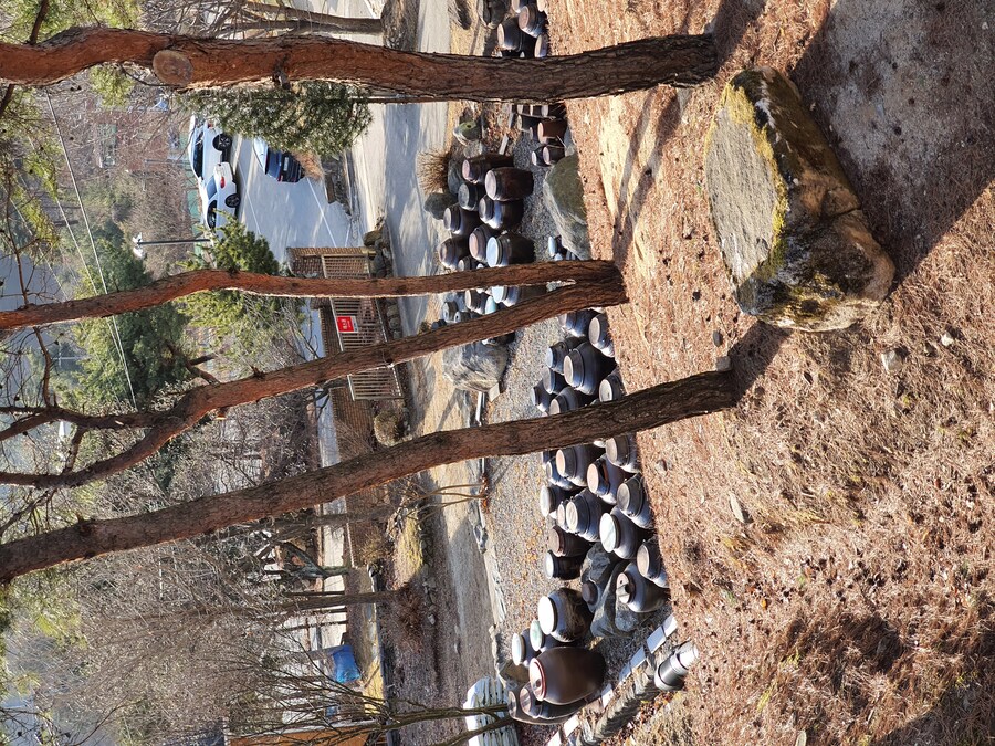 소설가 박경리 선생님 생가에서 신세를 지고 있습니다_25.jpg