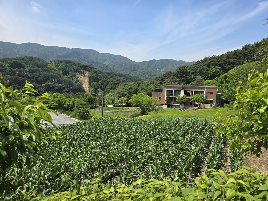 소설가 박경리 선생님 생가에서 신세를 지고 있습니다_28.jpg