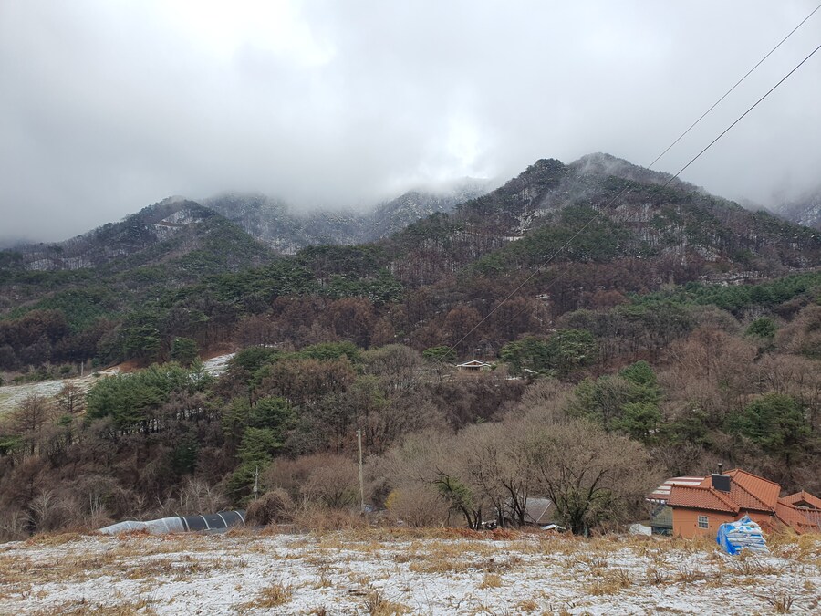 소설가 박경리 선생님 생가에서 신세를 지고 있습니다_33.jpg