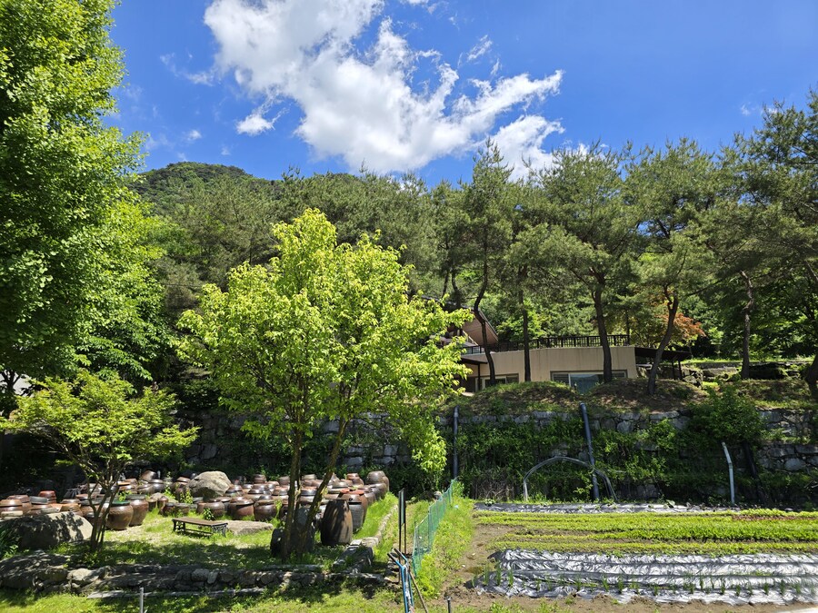 소설가 박경리 선생님 생가에서 신세를 지고 있습니다_66.jpg