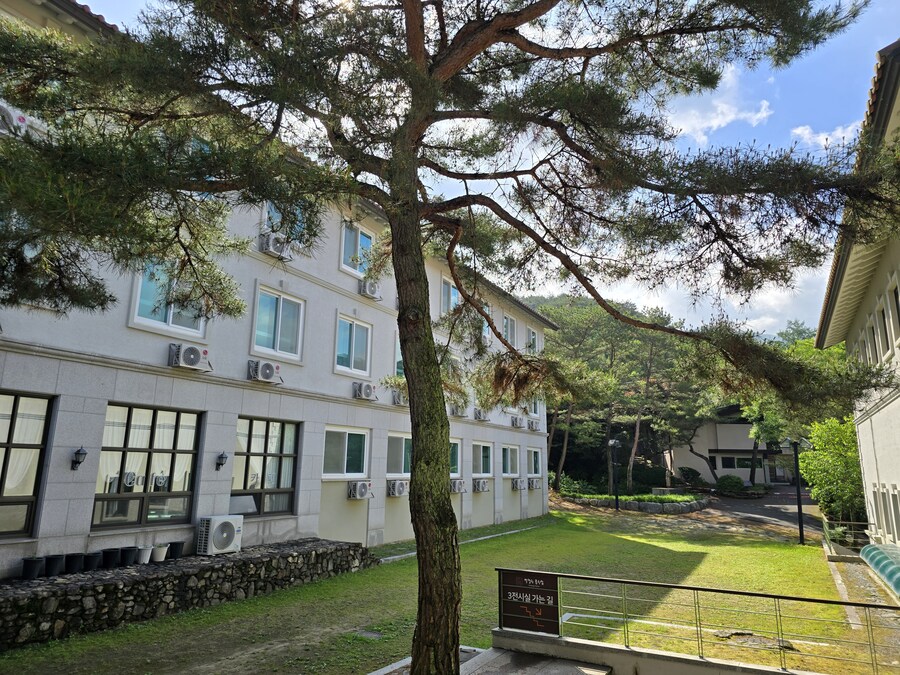 소설가 박경리 선생님 생가에서 신세를 지고 있습니다_74.jpg