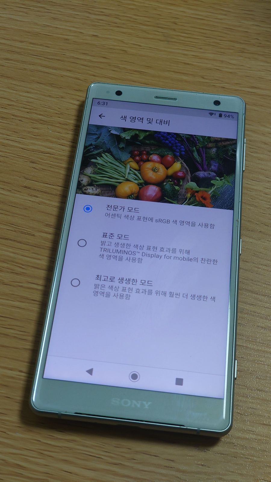 너도 멸종되지 않게 조심해 - 신형 엑스페리아 1 VI_25.jpg