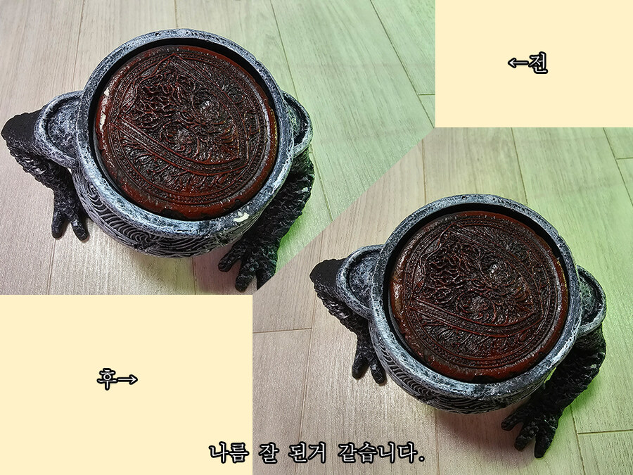 엘든링 알렉산더 화분이 도착했습니다._9.jpg