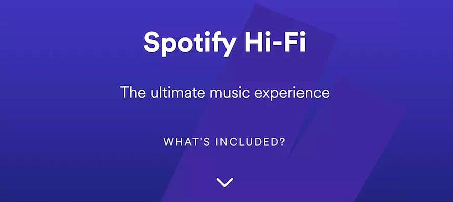 스포티파이) 니들 공수표 던진지 만으로 4년째야_1.png