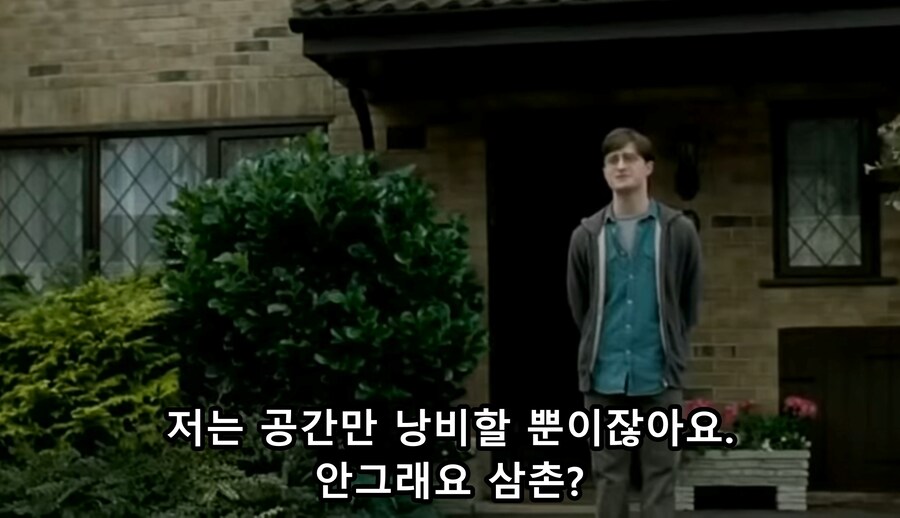 영화) 해리포터 삭제장면 "두들리와 해리포터의 마지막"_9.jpg