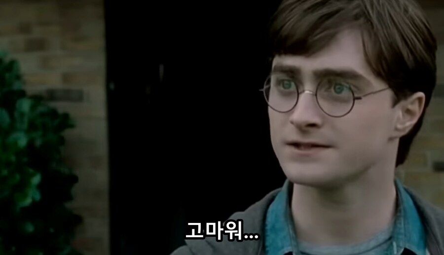 영화) 해리포터 삭제장면 "두들리와 해리포터의 마지막"_27.jpg