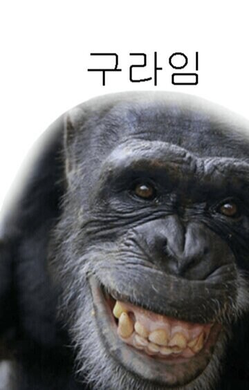 로또) 오오!!!!!!!!! 나 로또 1등 5개 당첨!!!!!!!!!_1.jpg