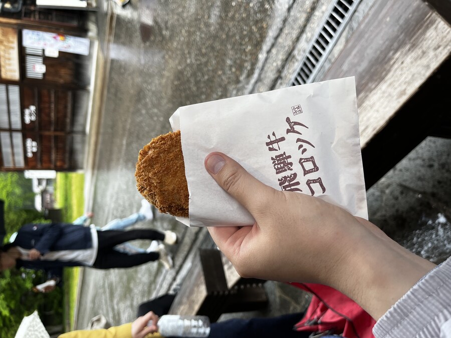 30대 아들 둘이 부모님 모시고 알펜루트 탐험기(약간 스압)_10.jpg