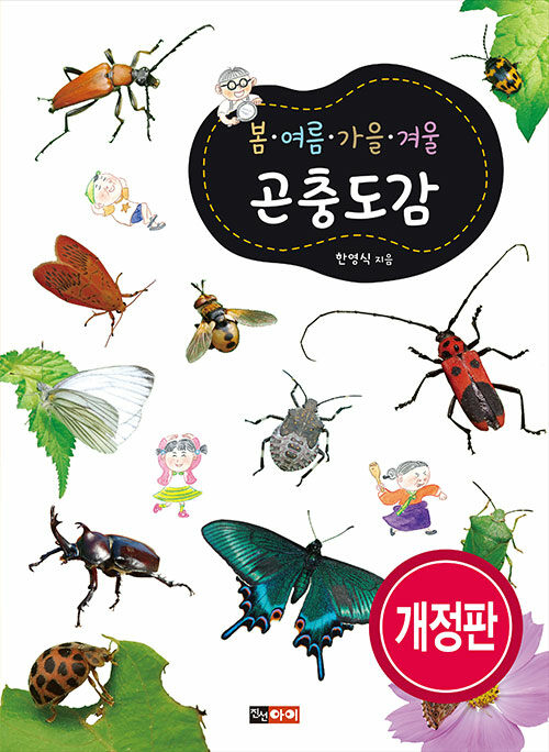 외연라인댄스 이미지