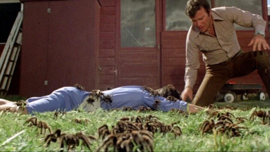 약혐) 여배우 뽑을 때 연기력&외모보다 중요한 게 있었던 영화_4.jpg